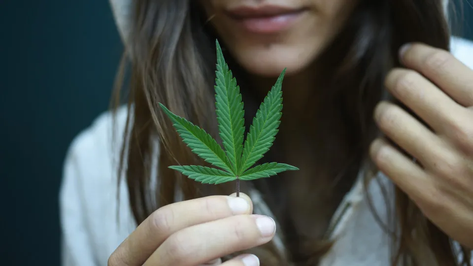 Consumo de Cannabis entre meninas triplica em 10 anos e chega a 7,9%, diz Unifesp