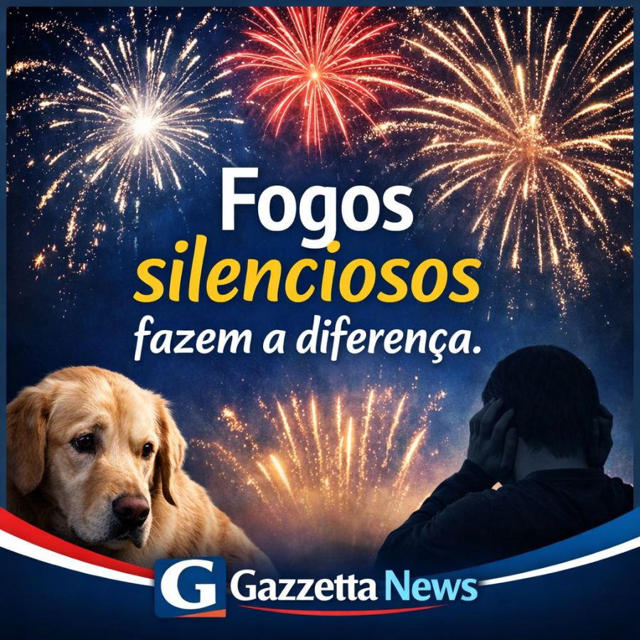 Fogos de artifício e os impactos invisíveis: barulho excessivo afeta pessoas com transtornos e animais