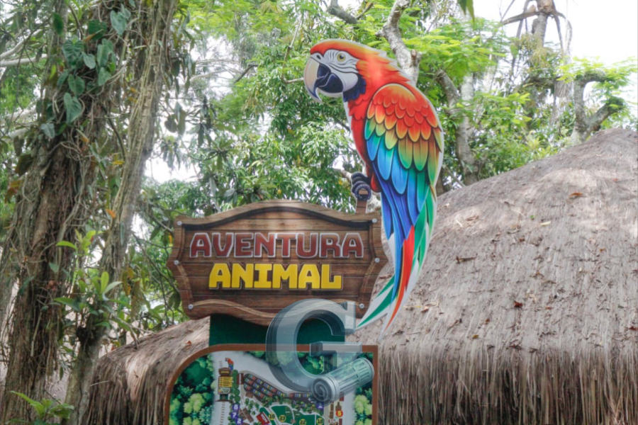 Park Aventura Animal estreia em Miguel Pereira com grande público já nas primeiras horas